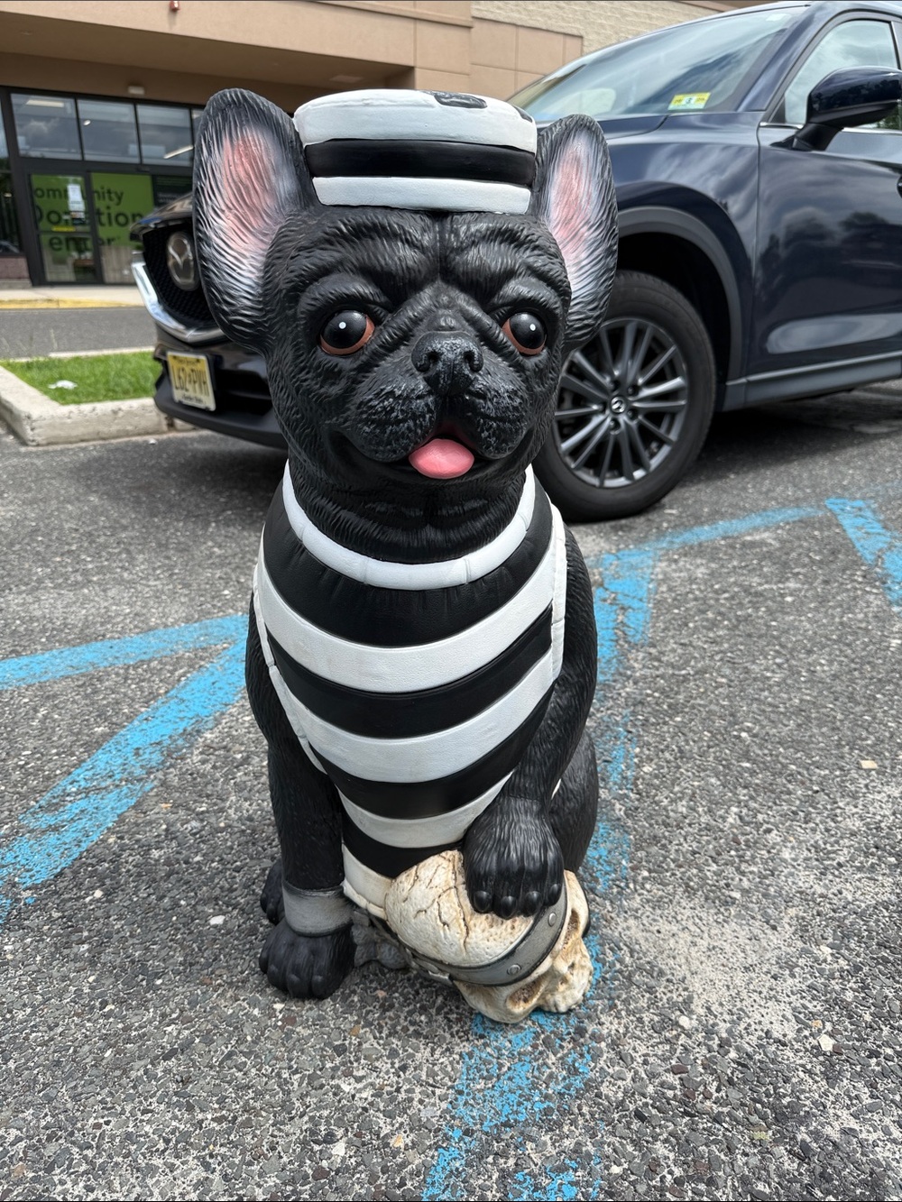 2025 Home Depot French Bulldog prisoner statue with LED skull. 2.5 ft tall